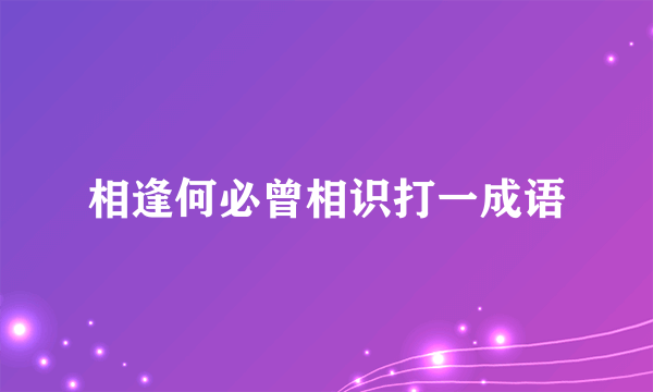 相逢何必曾相识打一成语