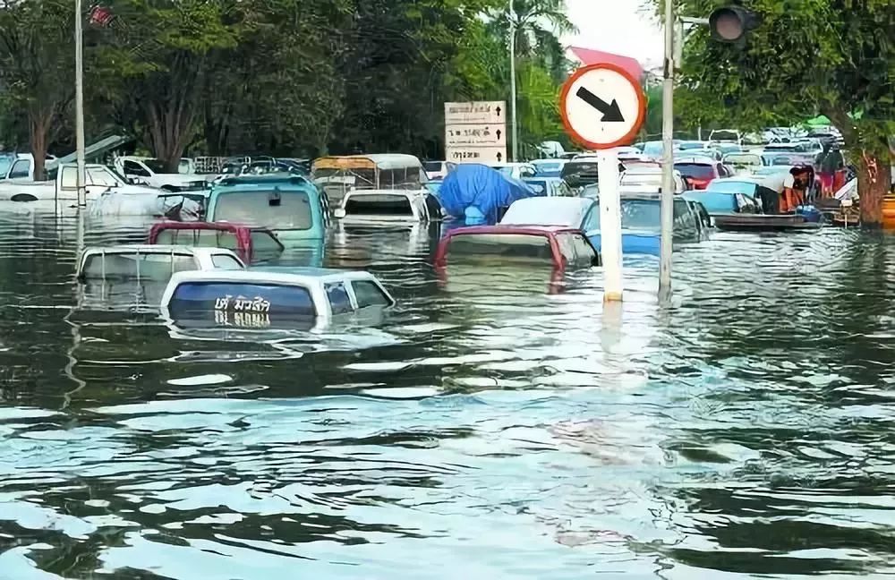 洪水过后为什么有瘟疫？