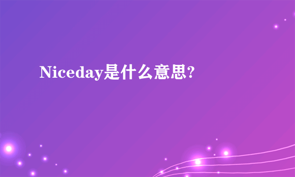 Niceday是什么意思?