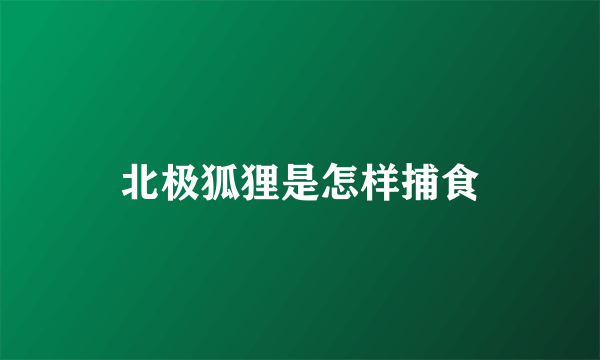 北极狐狸是怎样捕食