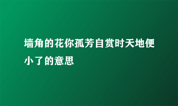 墙角的花你孤芳自赏时天地便小了的意思