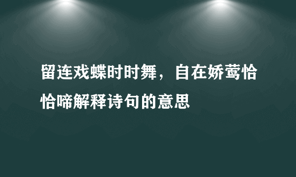 留连戏蝶时时舞，自在娇莺恰恰啼解释诗句的意思