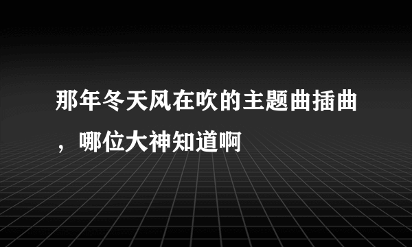 那年冬天风在吹的主题曲插曲，哪位大神知道啊