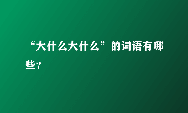 “大什么大什么”的词语有哪些？