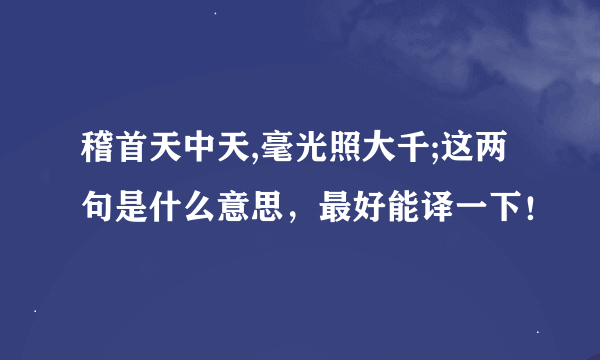 稽首天中天,毫光照大千;这两句是什么意思，最好能译一下！