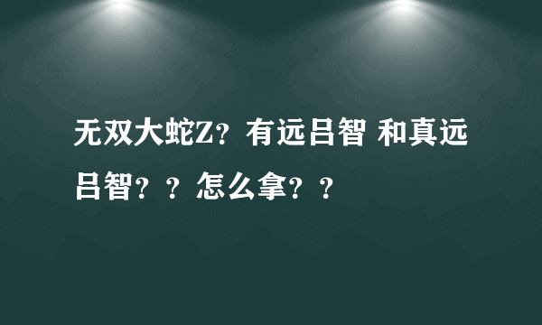 无双大蛇Z？有远吕智 和真远吕智？？怎么拿？？