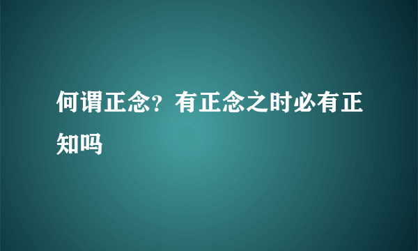 何谓正念？有正念之时必有正知吗