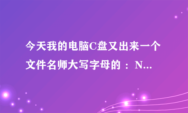 今天我的电脑C盘又出来一个文件名师大写字母的 ：NTDETECT.COM 的文件，不知道是干什么的？