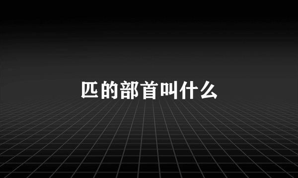 匹的部首叫什么