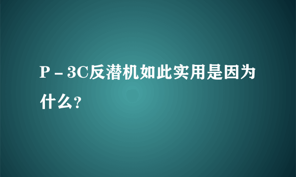 P－3C反潜机如此实用是因为什么？