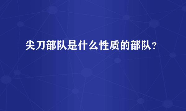 尖刀部队是什么性质的部队？