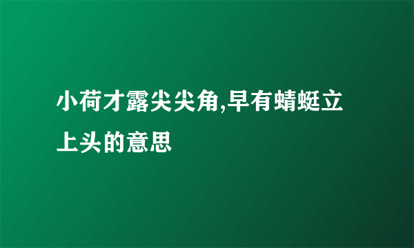 小荷才露尖尖角,早有蜻蜓立上头的意思