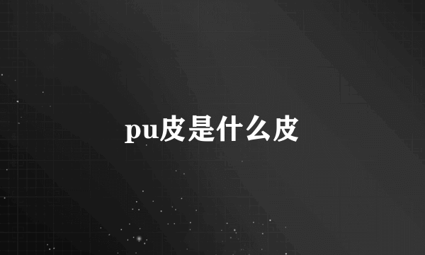 pu皮是什么皮