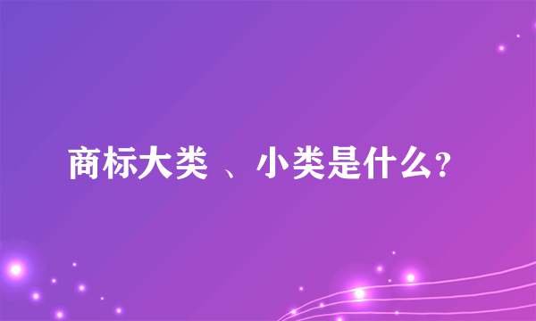 商标大类 、小类是什么？