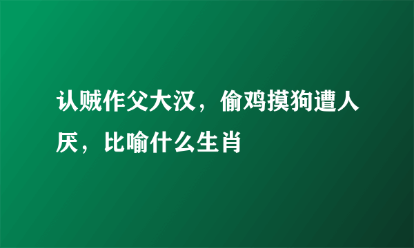 认贼作父大汉，偷鸡摸狗遭人厌，比喻什么生肖