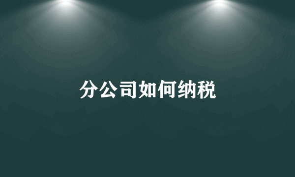 分公司如何纳税