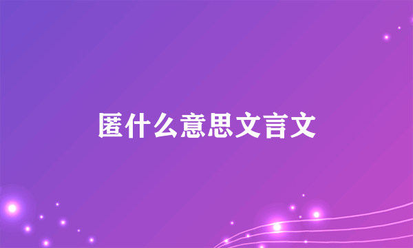 匿什么意思文言文