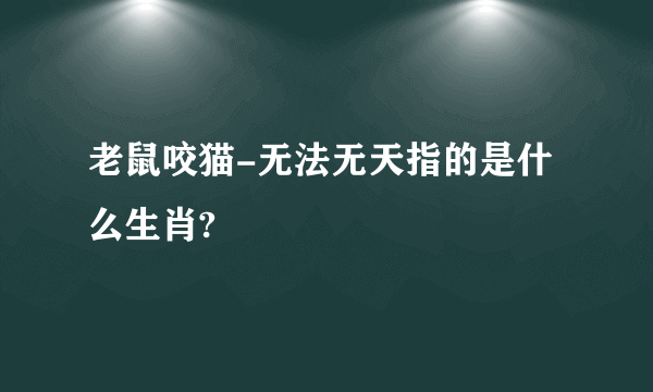 老鼠咬猫-无法无天指的是什么生肖?