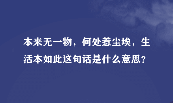 本来无一物，何处惹尘埃，生活本如此这句话是什么意思？