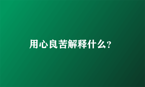 用心良苦解释什么？