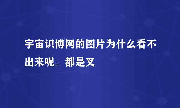 宇宙识博网的图片为什么看不出来呢。都是叉