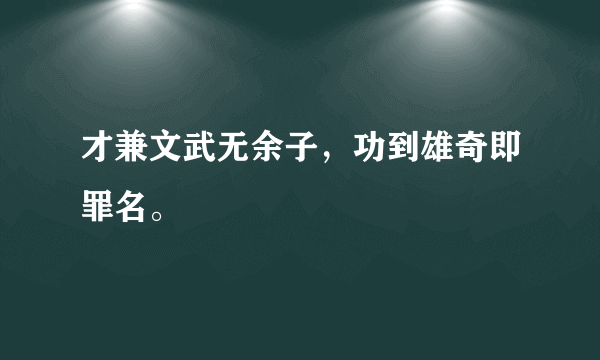 才兼文武无余子，功到雄奇即罪名。