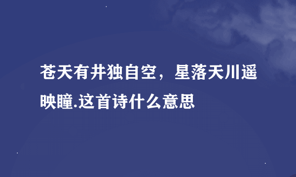 苍天有井独自空，星落天川遥映瞳.这首诗什么意思