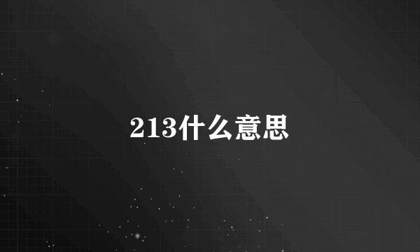 213什么意思