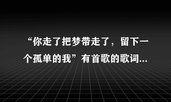 “你走了把梦带走了，留下一个孤单的我”有首歌的歌词是这样唱的谁知道是什么歌啊