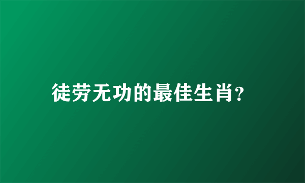 徒劳无功的最佳生肖？