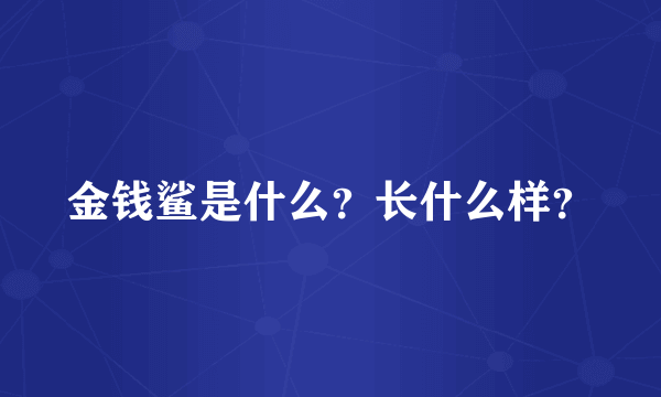 金钱鲨是什么？长什么样？