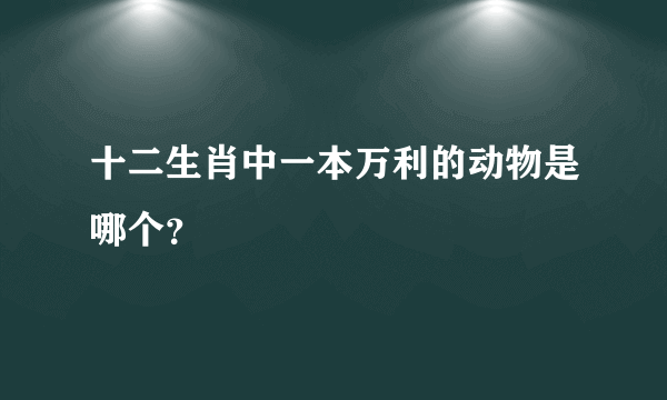 十二生肖中一本万利的动物是哪个？