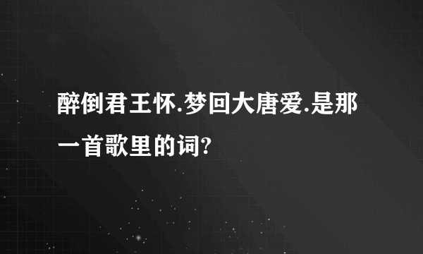 醉倒君王怀.梦回大唐爱.是那一首歌里的词?