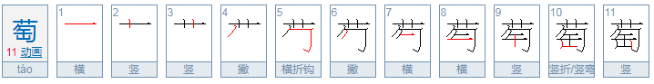 萄组两字词语