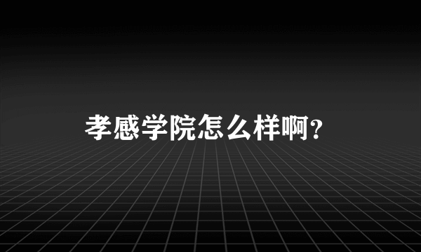 孝感学院怎么样啊？