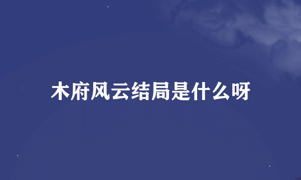 木府风云结局是什么呀