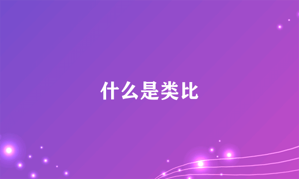 什么是类比