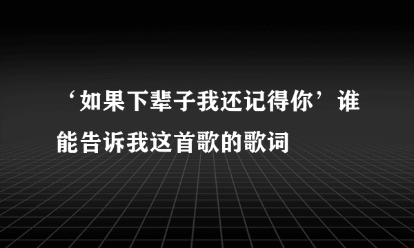 ‘如果下辈子我还记得你’谁能告诉我这首歌的歌词