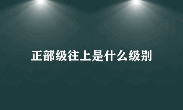 正部级往上是什么级别