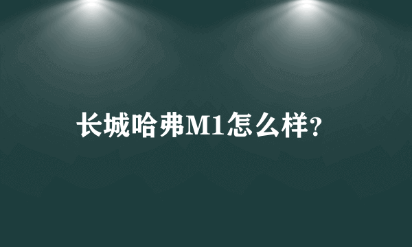 长城哈弗M1怎么样？