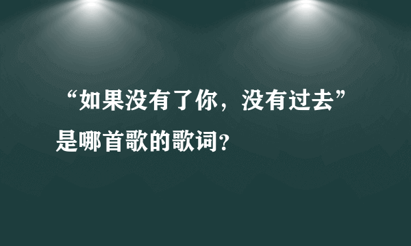 “如果没有了你，没有过去”是哪首歌的歌词？