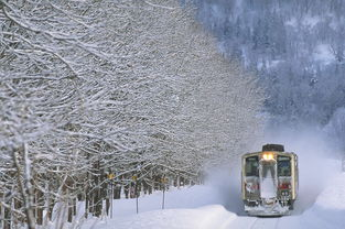 内蒙古通辽火车“破雪”前行，为什么深度积雪并没有影响火车通行？