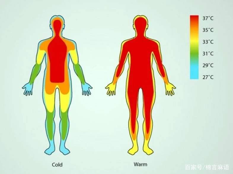 多少度才算发烧？