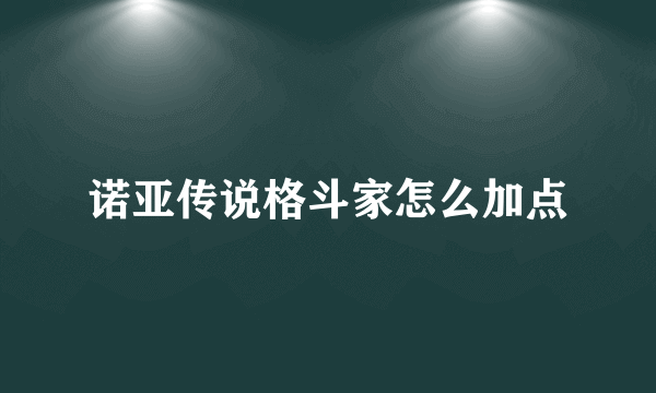 诺亚传说格斗家怎么加点