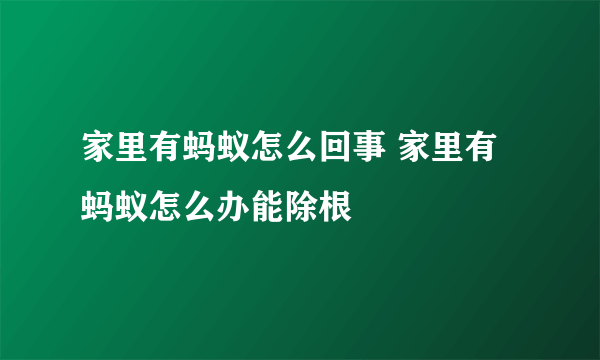 家里有蚂蚁怎么回事 家里有蚂蚁怎么办能除根