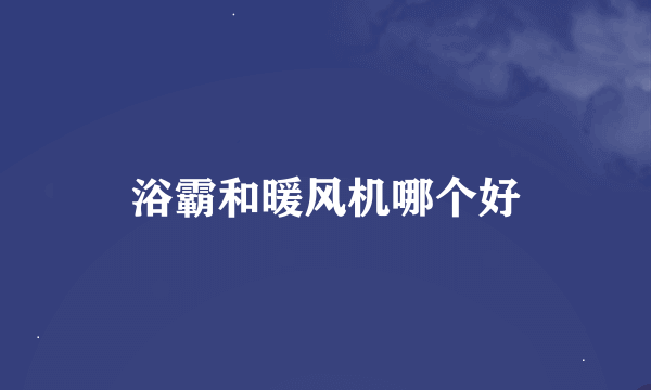 浴霸和暖风机哪个好