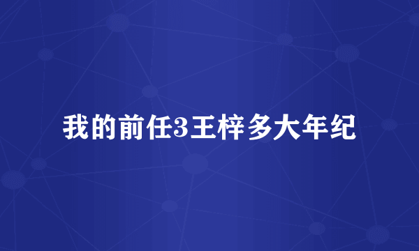 我的前任3王梓多大年纪