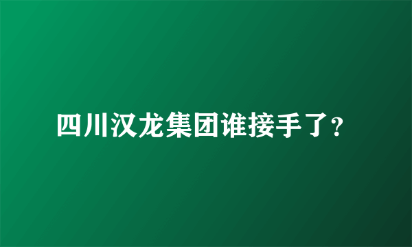 四川汉龙集团谁接手了？