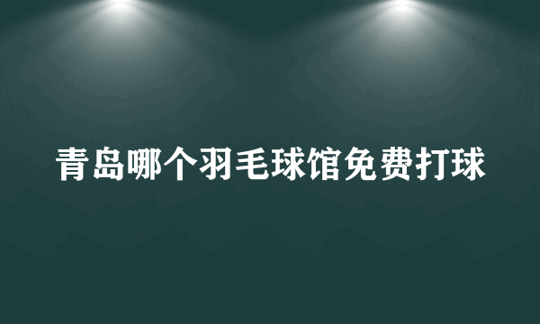 青岛哪个羽毛球馆免费打球