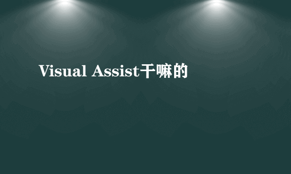 Visual Assist干嘛的